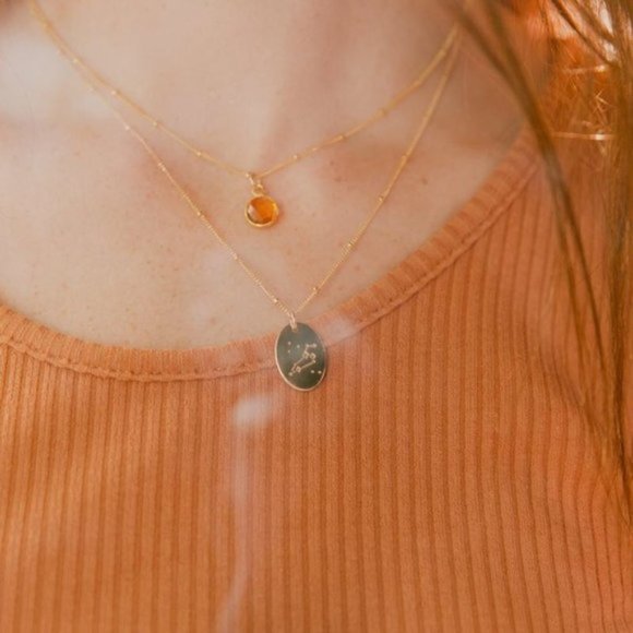 Leo Minimalist Zodiac Charm Oval Disc Necklace - Picture 8 of 11